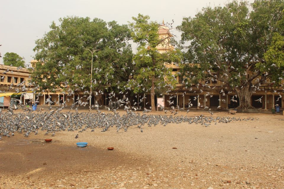 Photo of Jaipur, Rajasthan, India by Visharth Negi