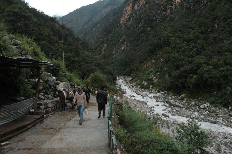 Photo of Ghangaria, Uttarakhand, India by Visharth Negi
