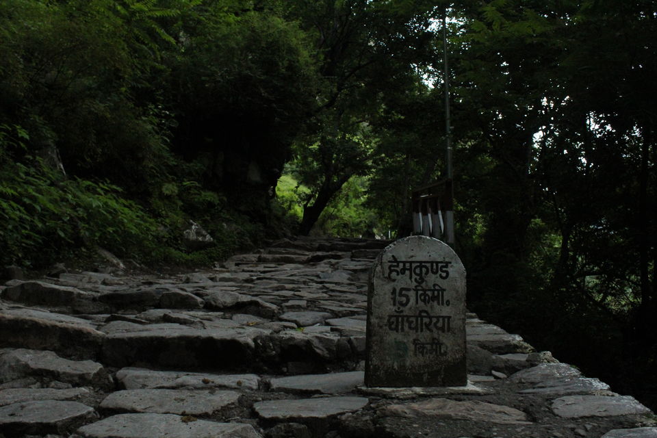 Photo of ख़ानाबदोश in Valley of Flowers and Hemkund Sahib under 2000 INR by Visharth Negi