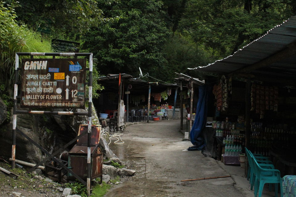 Photo of ख़ानाबदोश in Valley of Flowers and Hemkund Sahib under 2000 INR by Visharth Negi