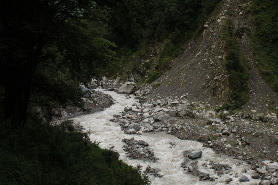 Photo of ख़ानाबदोश in Valley of Flowers and Hemkund Sahib under 2000 INR by Visharth Negi