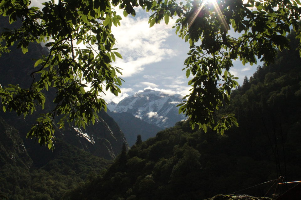 Photo of ख़ानाबदोश in Valley of Flowers and Hemkund Sahib under 2000 INR by Visharth Negi
