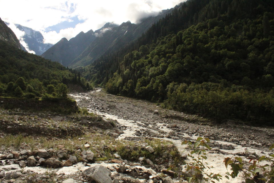 Photo of ख़ानाबदोश in Valley of Flowers and Hemkund Sahib under 2000 INR by Visharth Negi