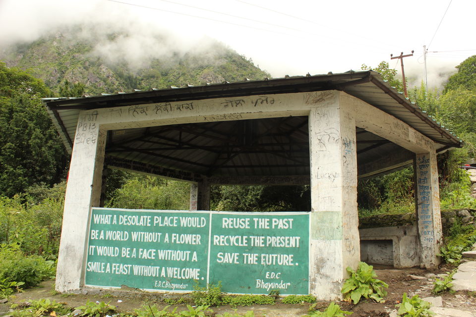 Photo of ख़ानाबदोश in Valley of Flowers and Hemkund Sahib under 2000 INR by Visharth Negi