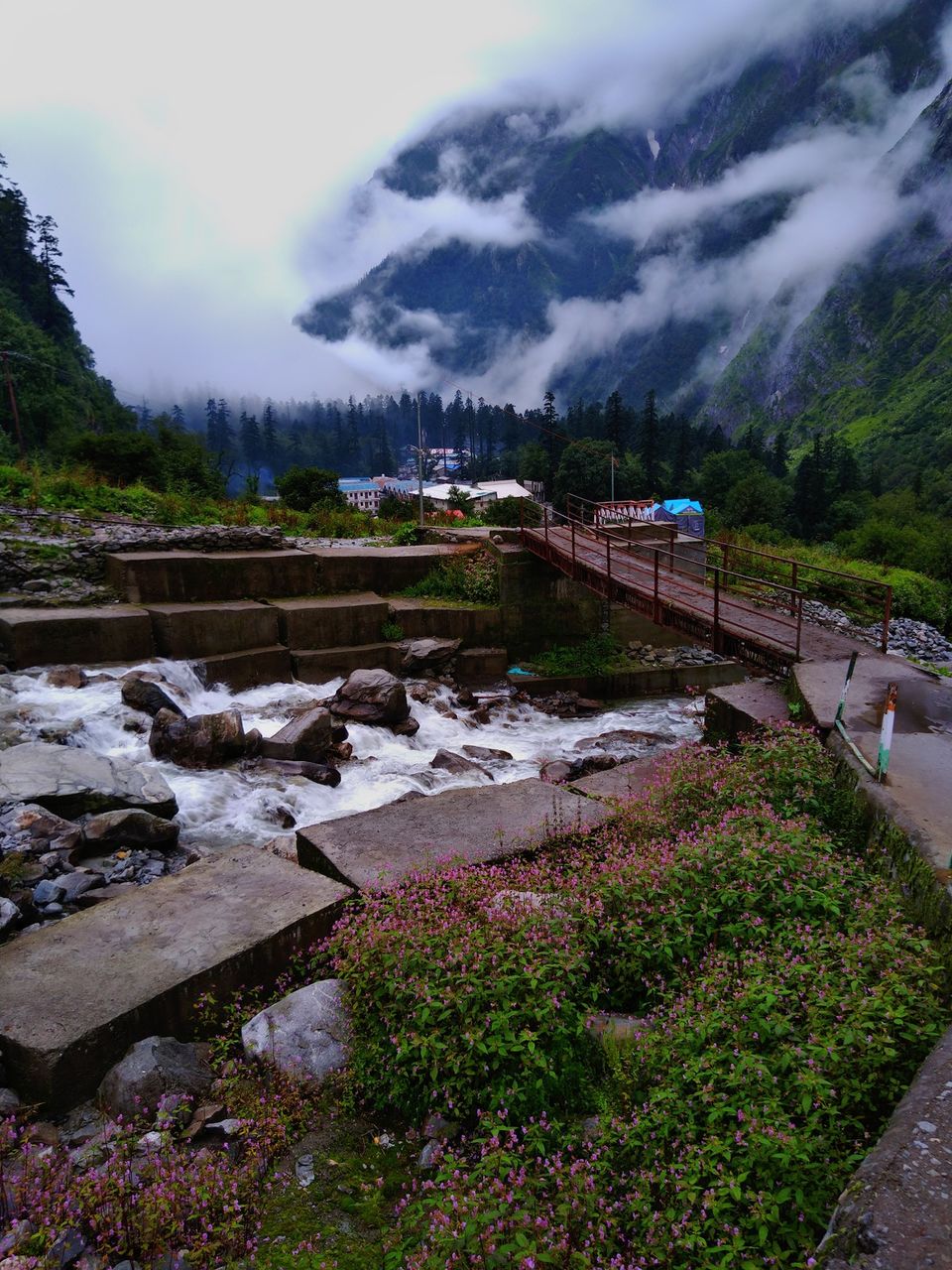 Photo of ख़ानाबदोश in Valley of Flowers and Hemkund Sahib under 2000 INR by Visharth Negi