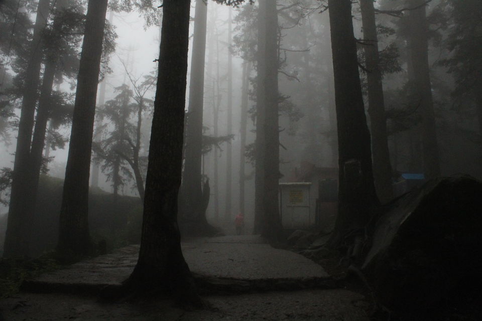 Photo of Ghangaria, Uttarakhand, India by Visharth Negi