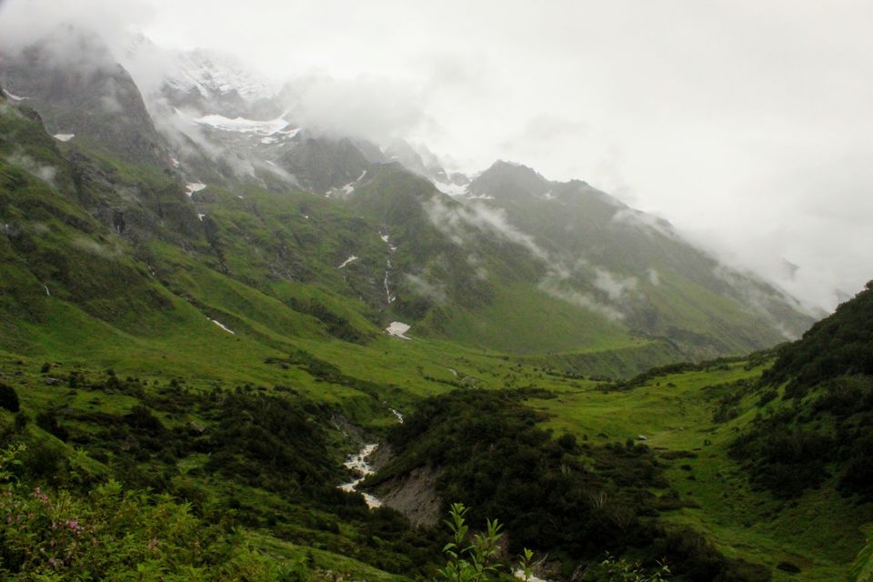 Photo of ख़ानाबदोश in Valley of Flowers and Hemkund Sahib under 2000 INR by Visharth Negi