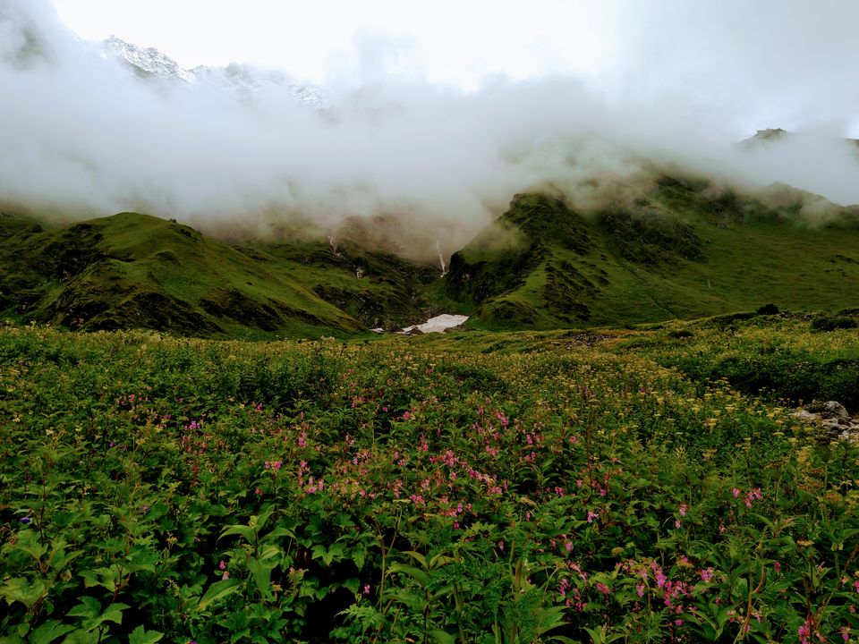 Photo of ख़ानाबदोश in Valley of Flowers and Hemkund Sahib under 2000 INR by Visharth Negi