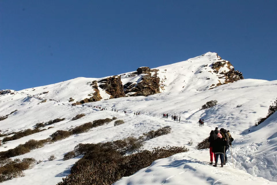 Photo of Chandrashila Trek, Chopta Trek, Chandrashila Trekking, Chopta Chandrashila Trek, Block B, Ganga Vihar, Gokalpuri, Delhi, India by Visharth Negi