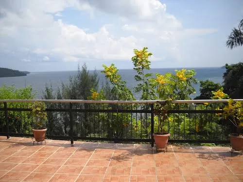 Photo of Megapode Nest, Delanipur, Port Blair, Andaman and Nicobar Islands, India by Sakshi Singh
