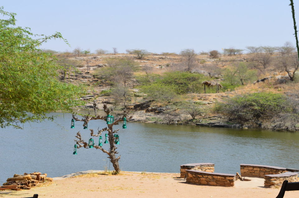 Photo of Lakshman Sagar : A Trail into the Nature and Luxury - The Wanderlust Trails 2/4 by The Wanderlust Trails