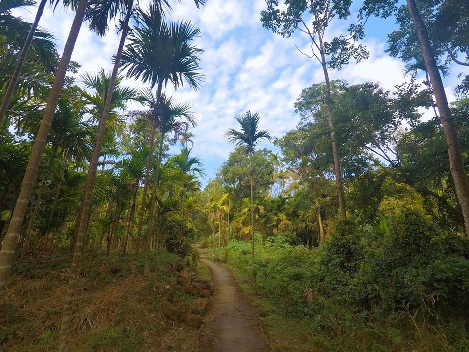 Photo of Meghalaya : Abode of Clouds by Shubham Thakare