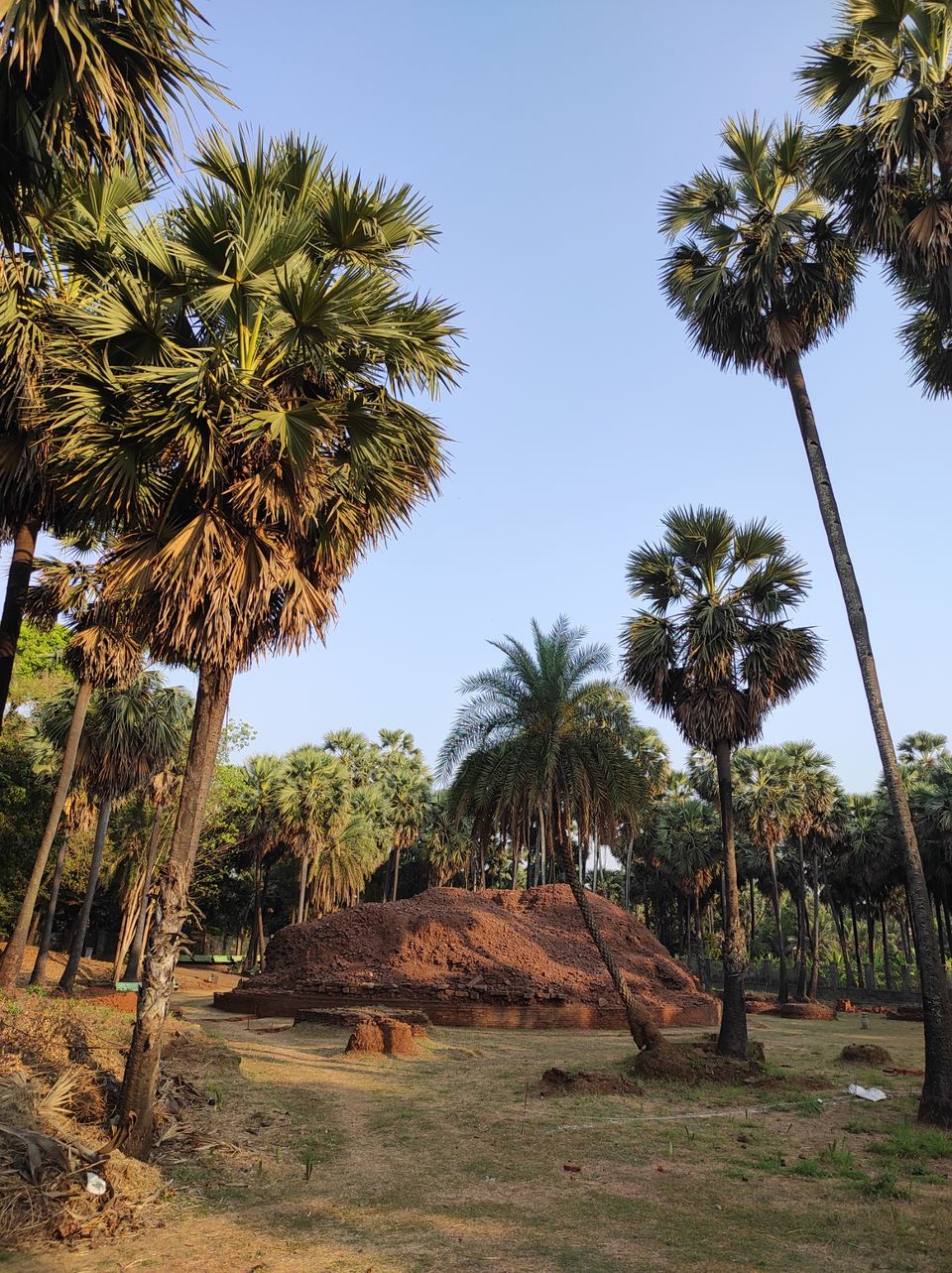 Photo of SOPARA BUDDHA STUPA by Trupti Hemant Meher