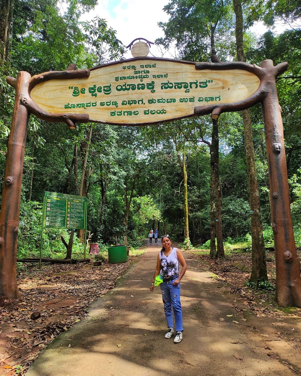Photo of याना केव और विभूति वॉटरफॉल का जंगल ट्रेक by Trupti Hemant Meher