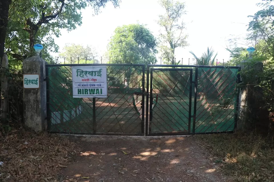 Photo of Roha by Trupti Hemant Meher