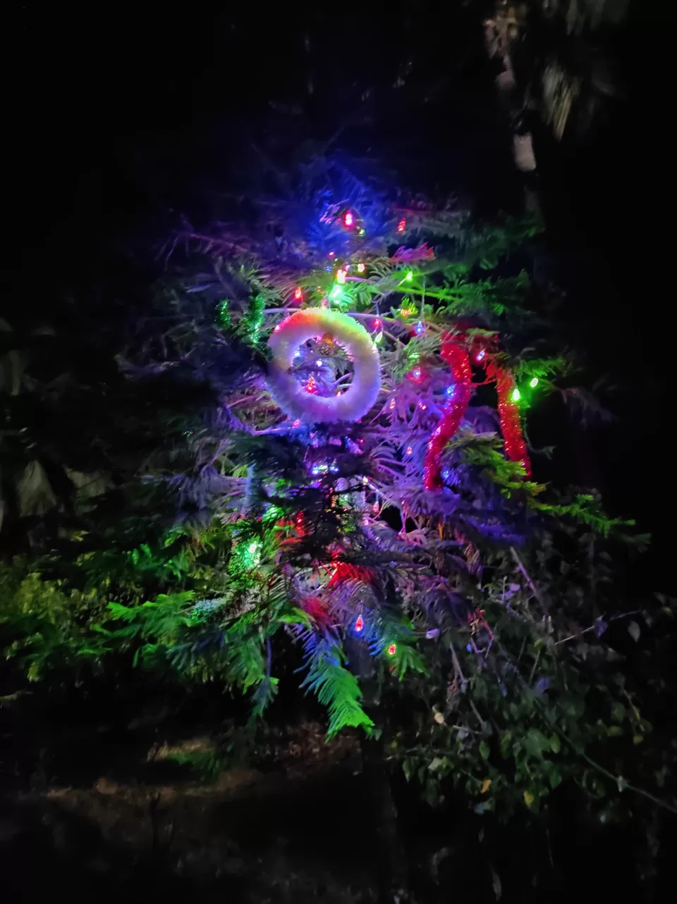 Photo of Roha by Trupti Hemant Meher