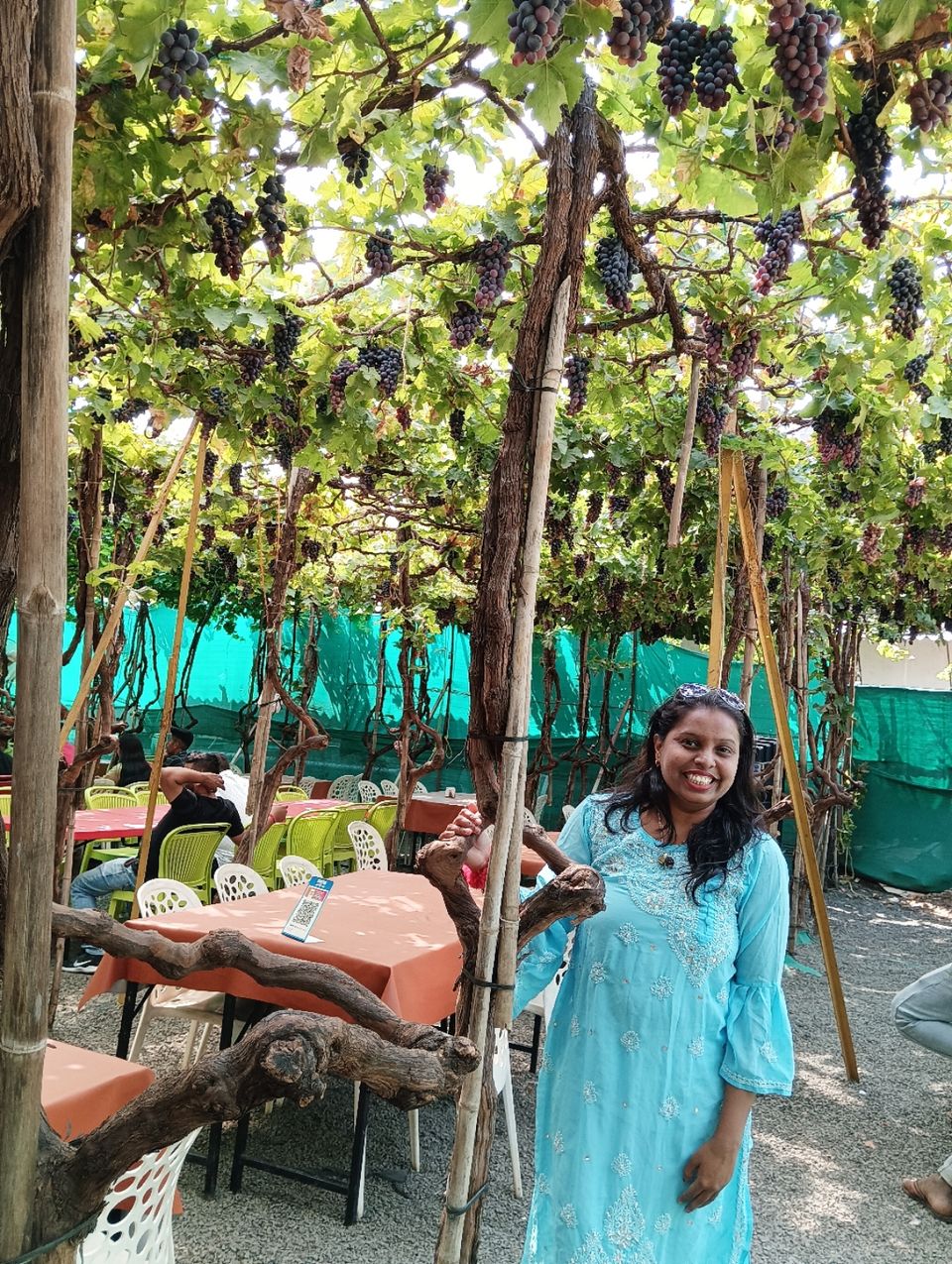 Photo of GRAPE EMBASSY & ZATKA MISAL by Trupti Hemant Meher
