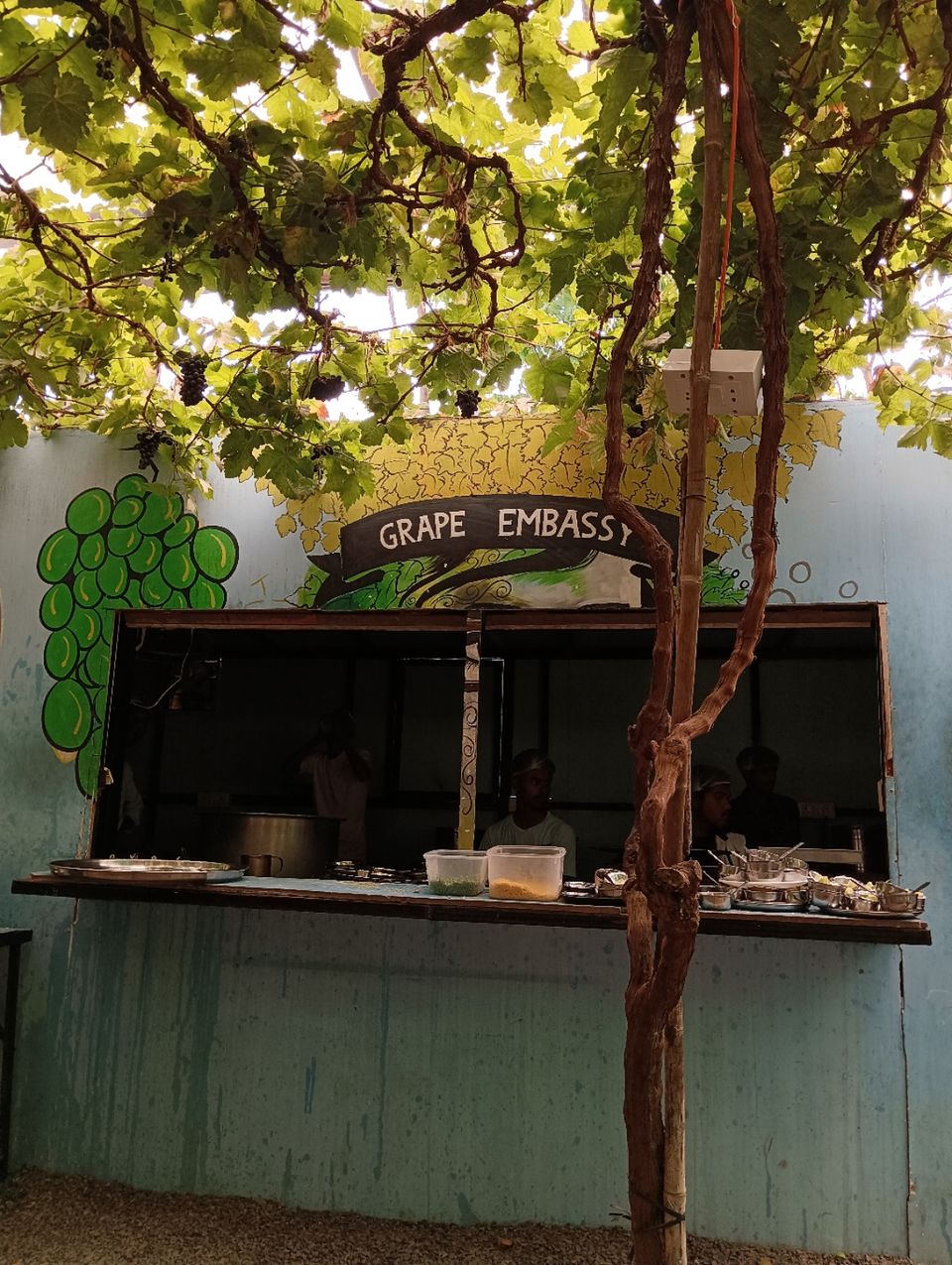 Photo of GRAPE EMBASSY & ZATKA MISAL by Trupti Hemant Meher