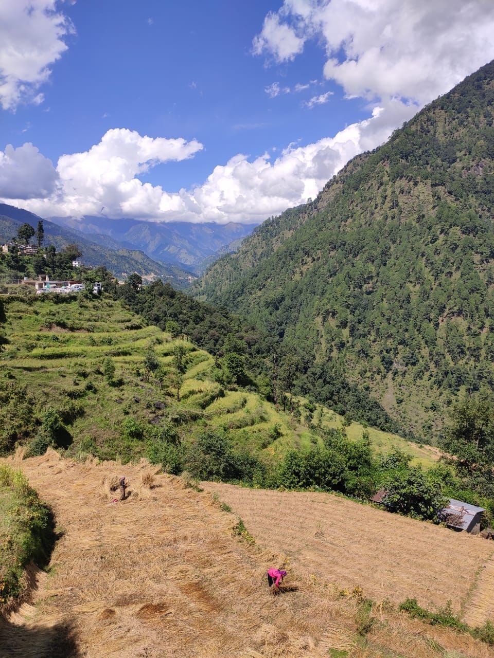 Photo of Kedarnath, Uttarakhand, India by Niharika Pandey