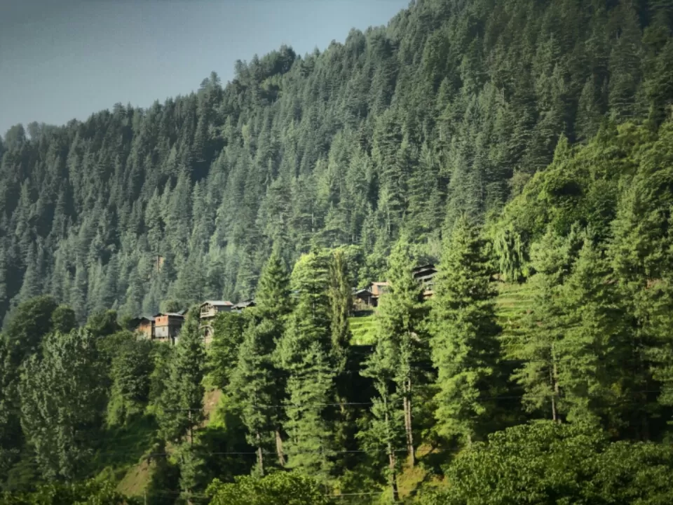 Photo of Multhan, Himachal Pradesh, India by Manish Vatsyayan
