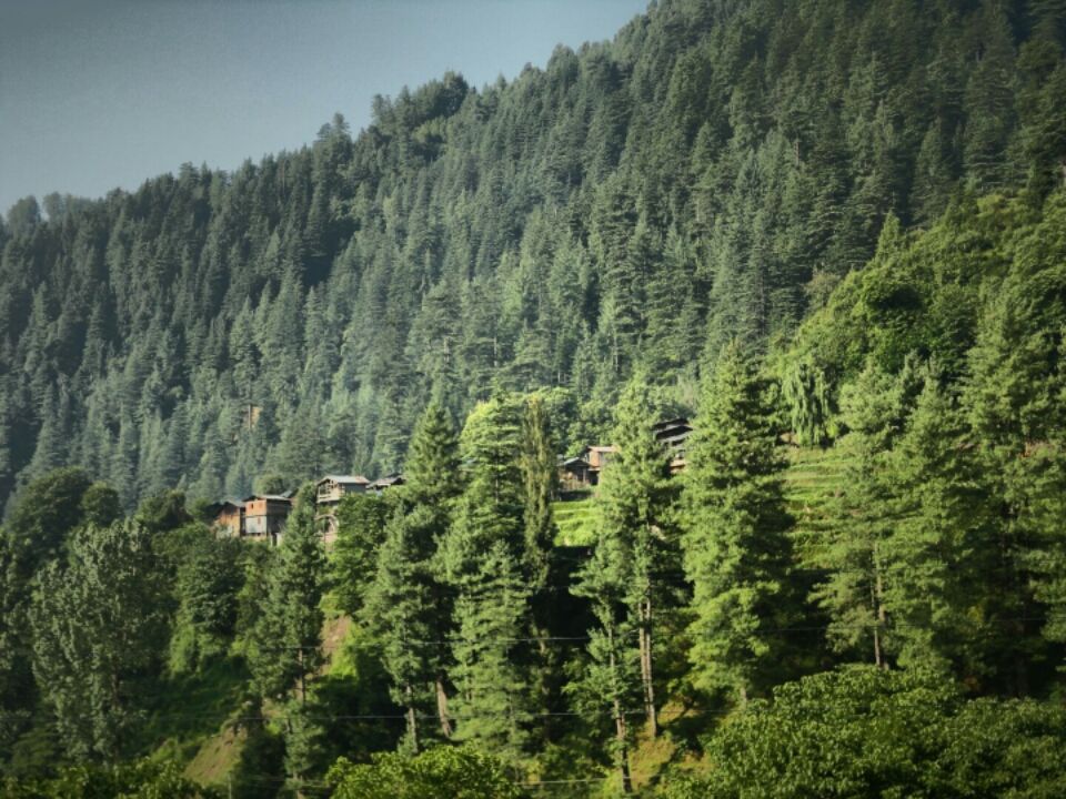 Photo of Multhan, Himachal Pradesh, India by Manish Vatsyayan