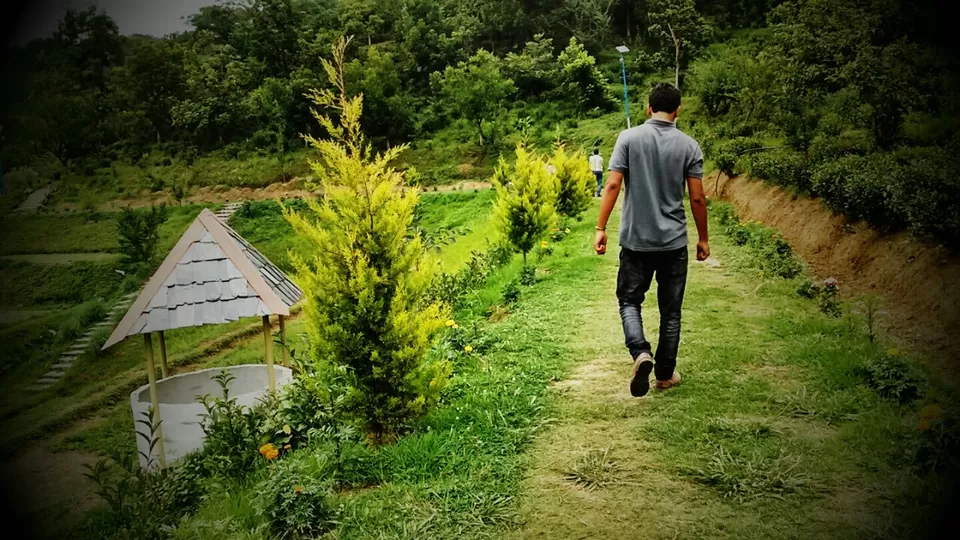 Photo of Multhan, Himachal Pradesh, India by Manish Vatsyayan