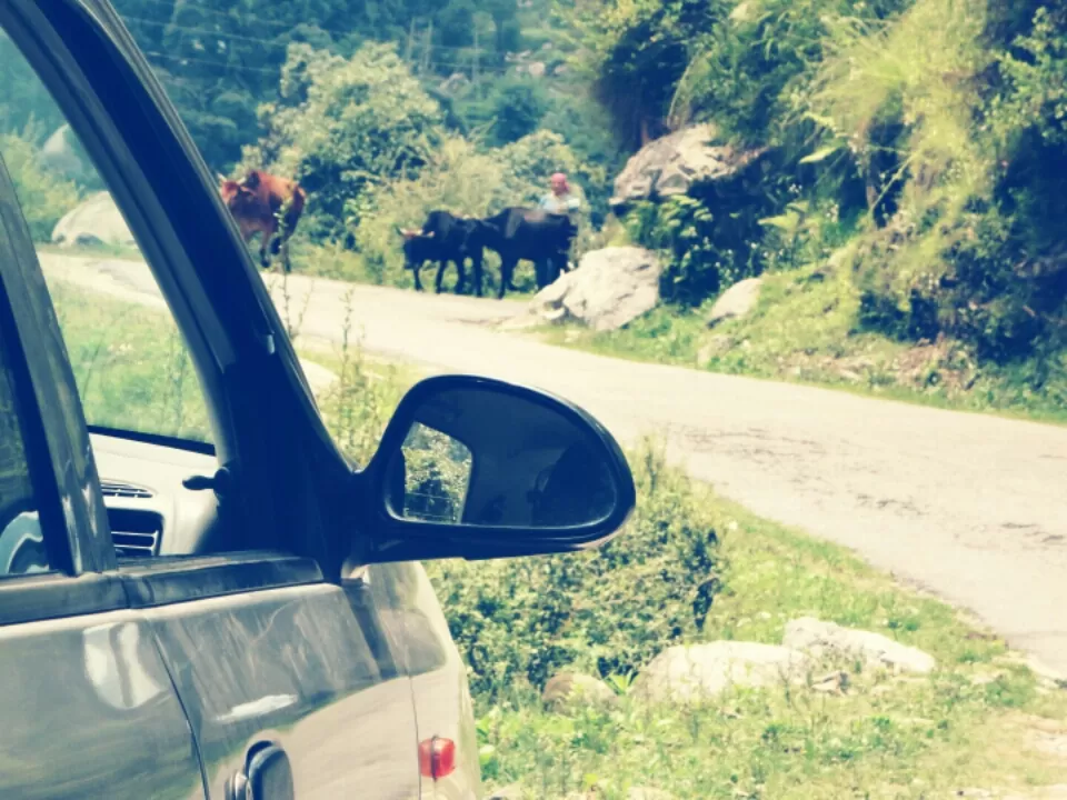 Photo of Multhan, Himachal Pradesh, India by Manish Vatsyayan