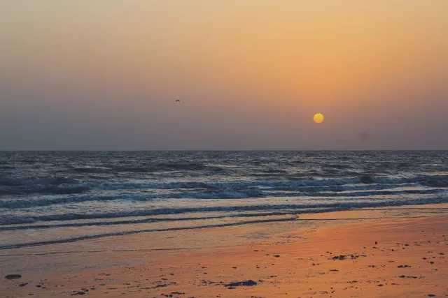 Photo of Mandavi, Gujarat, India by Umang Dave (IG: @umangxdave)