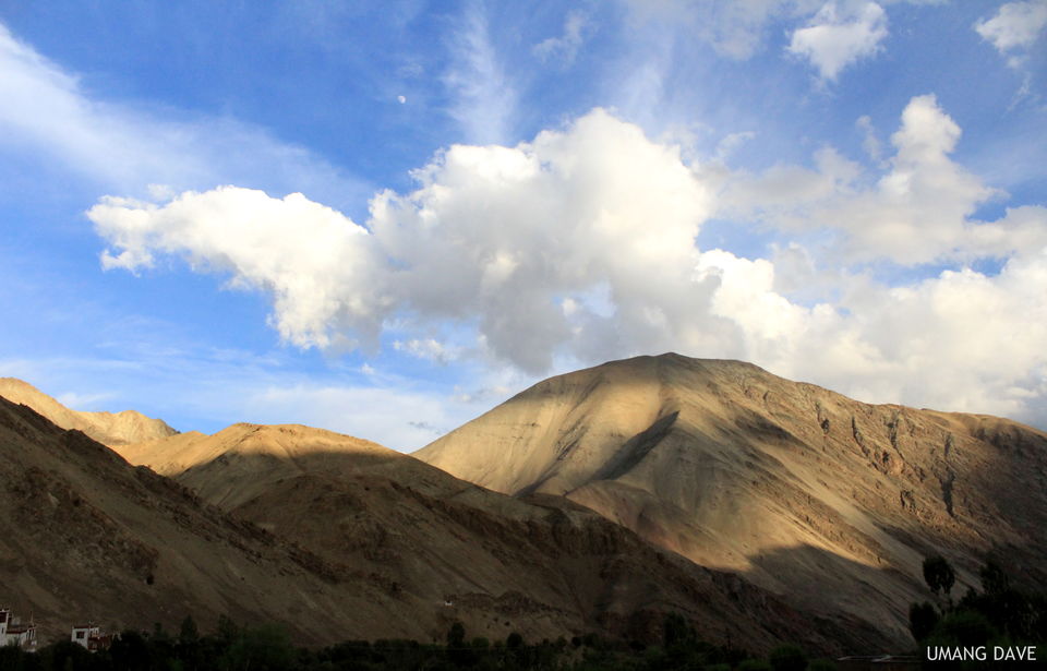 Photo of "Julley" From Ladakh with love! 2/4 by Umang Dave (IG: @umangdavevisual)