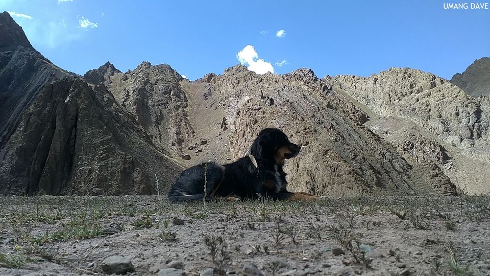 Photo of "Julley" From Ladakh with love! by Umang Dave