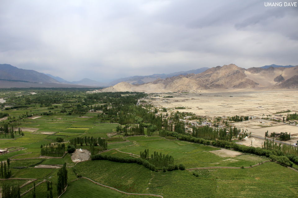 Photo of "Julley" From Ladakh with love! 3/4 by Umang Dave (IG: @umangdavevisual)