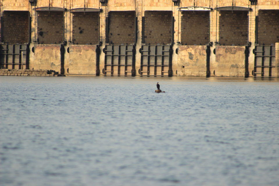 Photo of Tighra Dam- A perfect Weekend Getaway from Gwalior, Madhyapradesh by Umang Dave