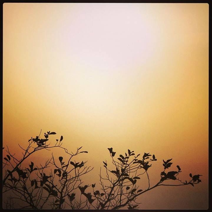 Photo of Idar Fort Trek with Wayfarers Club - Exploring Hidden Gems of Gujarat 11/13 by Umang Dave (IG: @umangdavevisual)