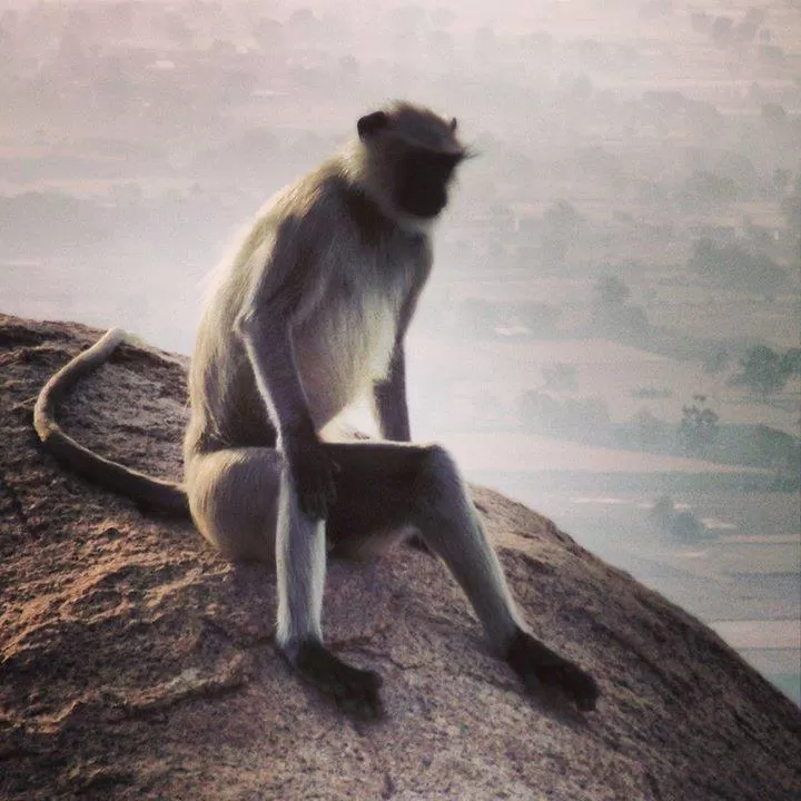 Photo of Idar, Gujarat, India by Umang Dave (IG: @umangxdave)