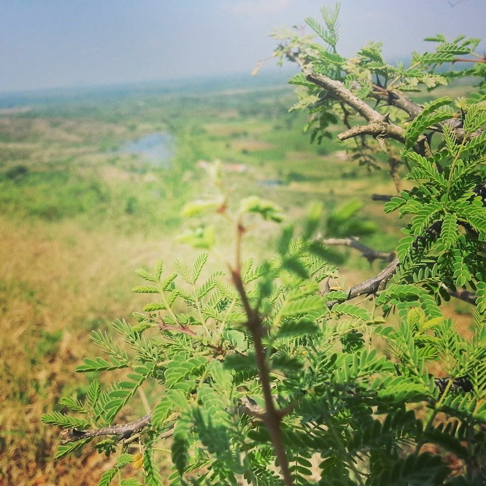 Photo of Best Hangout Places in Rajkot - Part 1 by Umang Dave