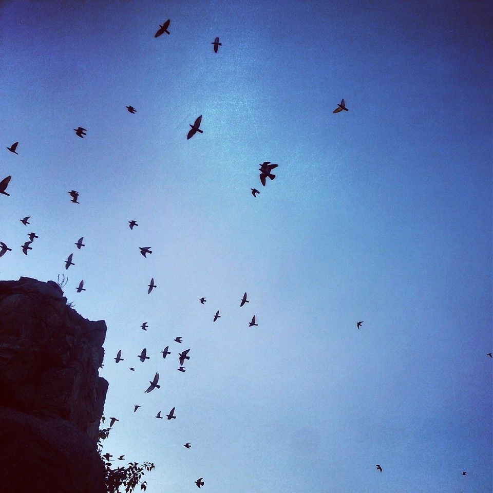 Photo of Best Hangout Places in Rajkot - Part 1 by Umang Dave