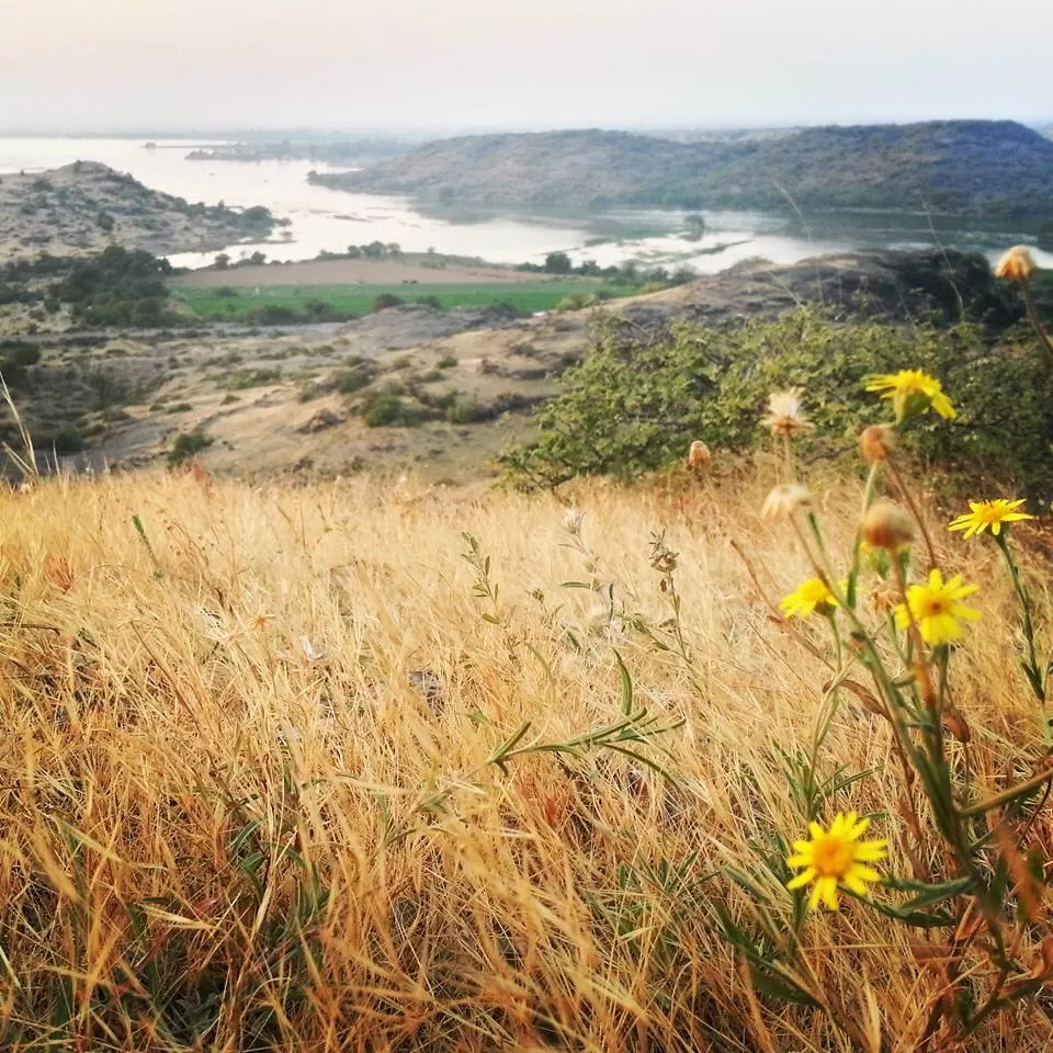 Photo of Lalpari Lake, Navagam, Rajkot, Gujarat, India by Umang Dave (IG: @umangxdave)