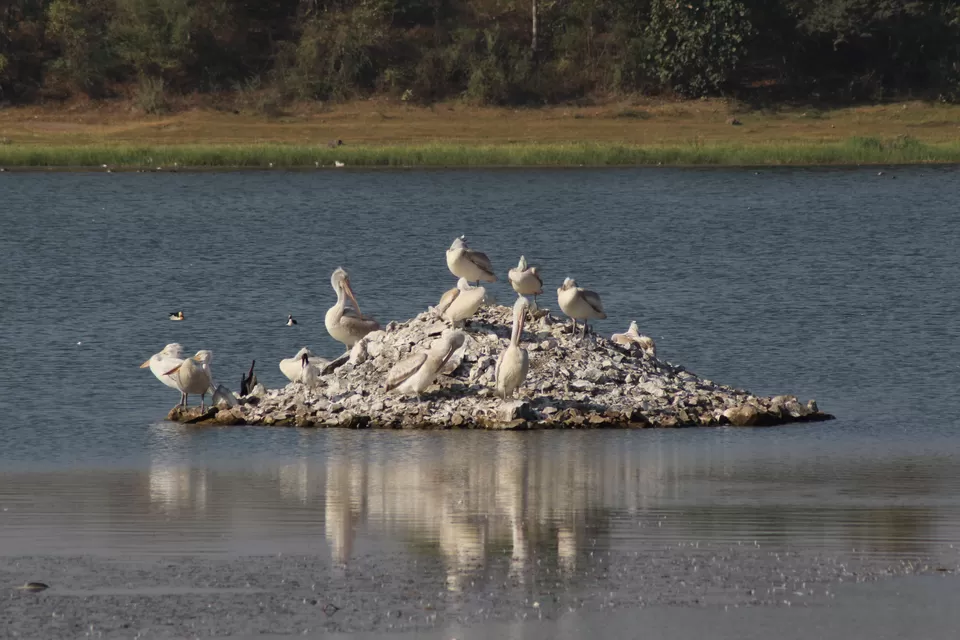 Photo of Randarda Lake, Pradhyuman Park, Rajkot, Gujarat, India by Umang Dave (IG: @umangxdave)
