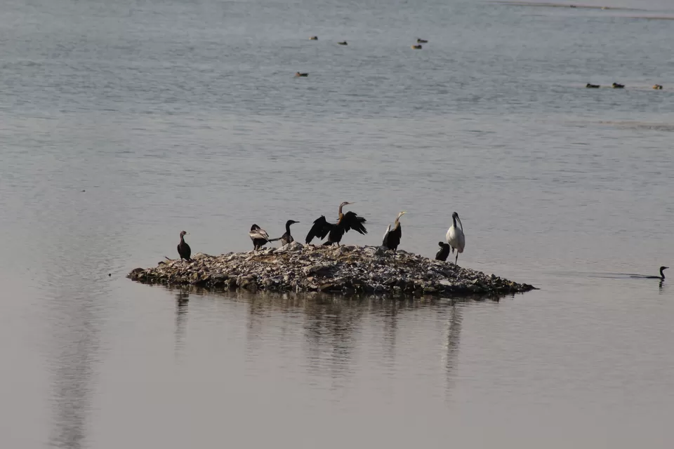 Photo of Randarda Lake, Pradhyuman Park, Rajkot, Gujarat, India by Umang Dave (IG: @umangxdave)