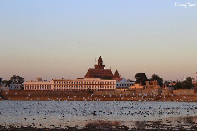 Photo of Photoblog: Hamirsar Lake - Beautiful place to enjoy sunset and Bird watching in Bhuj 1/12 by Umang Dave (IG: @umangdavevisual)