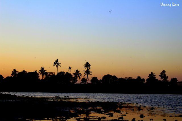 Photo of Photoblog: Hamirsar Lake - Beautiful place to enjoy sunset and Bird watching in Bhuj 3/12 by Umang Dave (IG: @umangdavevisual)