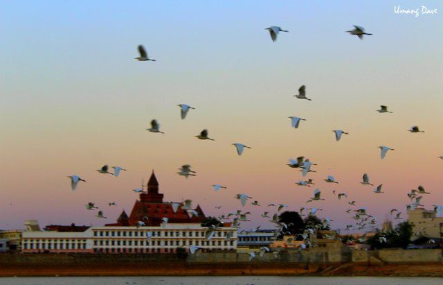 Photo of Photoblog: Hamirsar Lake - Beautiful place to enjoy sunset and Bird watching in Bhuj 4/12 by Umang Dave (IG: @umangdavevisual)