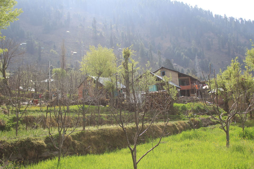 Photo of Aleo, Manali, Himachal Pradesh, India by Umang Dave