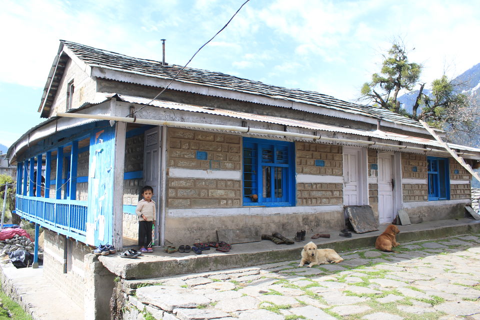 Photo of Photoblog: A beautiful village trek in Manali by Umang Dave