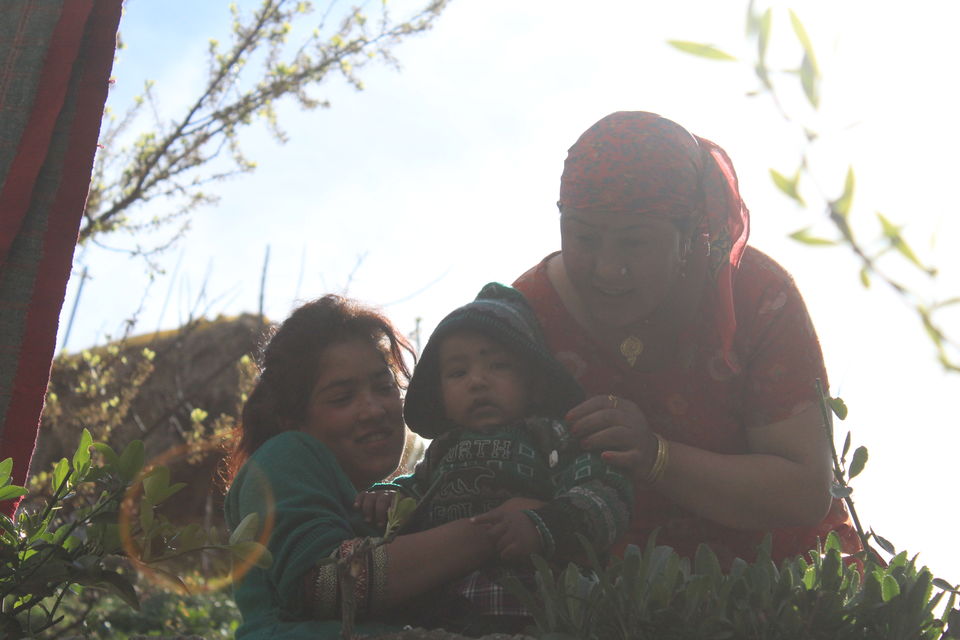 Photo of Photoblog: A beautiful village trek in Manali by Umang Dave