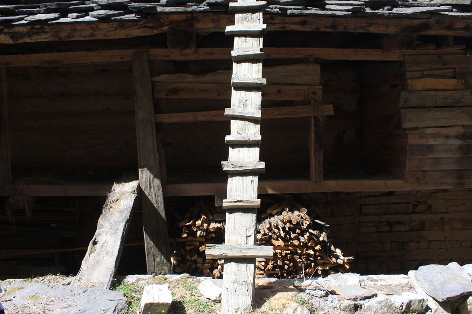 Photo of Photoblog: A beautiful village trek in Manali by Umang Dave