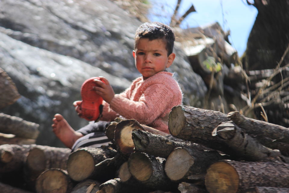 Photo of Photoblog: A beautiful village trek in Manali by Umang Dave