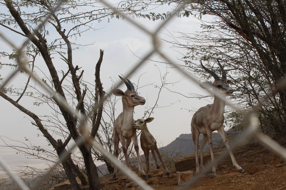 Photo of Highest point of Kutch - Kalo Dungar by Umang Dave
