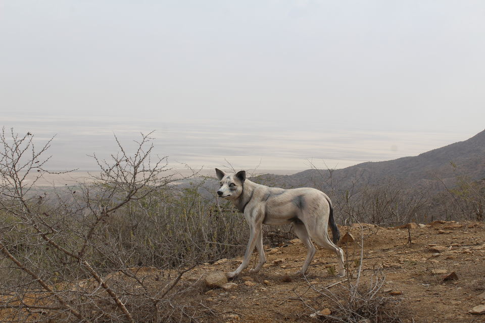 Photo of Highest point of Kutch - Kalo Dungar by Umang Dave