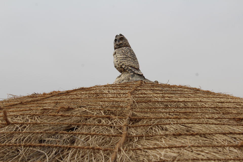 Photo of Highest point of Kutch - Kalo Dungar by Umang Dave